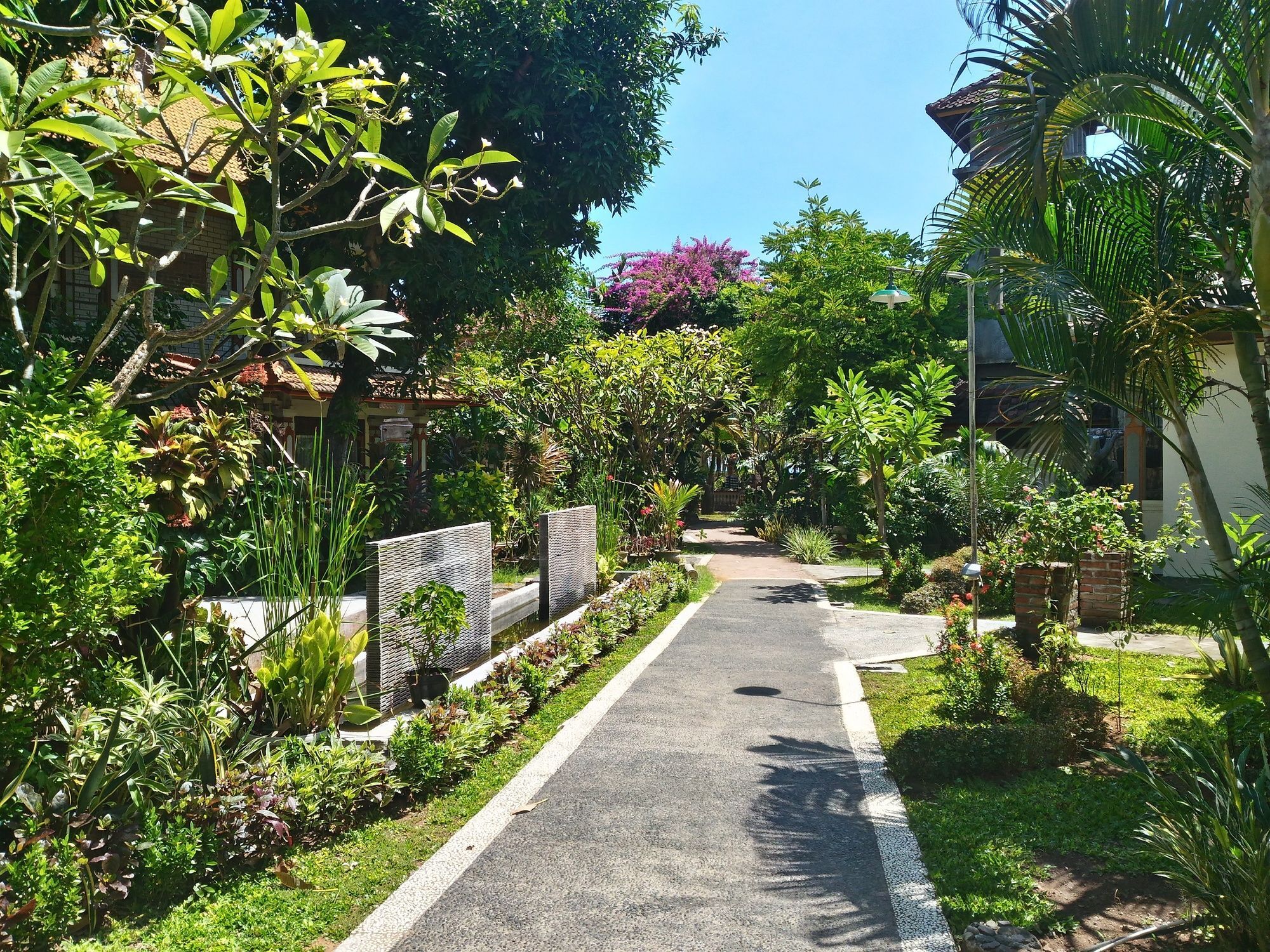 Lovina Beach Hotel Buleleng Exterior foto